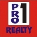 pro1.jpg