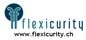 www.flexicurity.ch.bmp