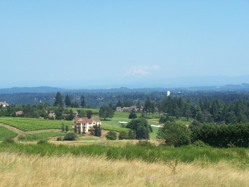 Mt Hood from West Linn